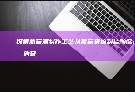 探索葡萄酒制作工艺：从葡萄采摘到佳酿诞生的奇妙旅程